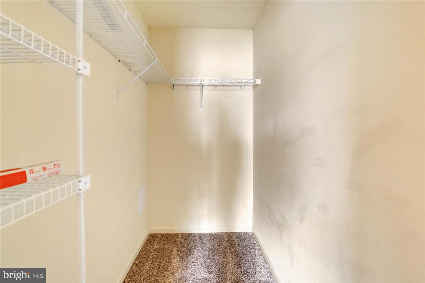 437 Waverly Woods Dr Property Photo 27
