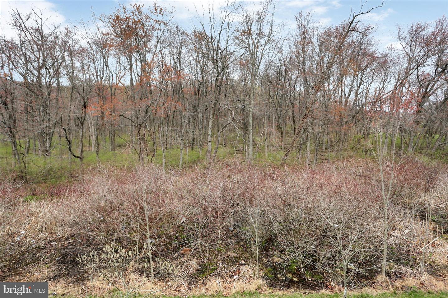 437 Waverly Woods Dr Property Photo 38