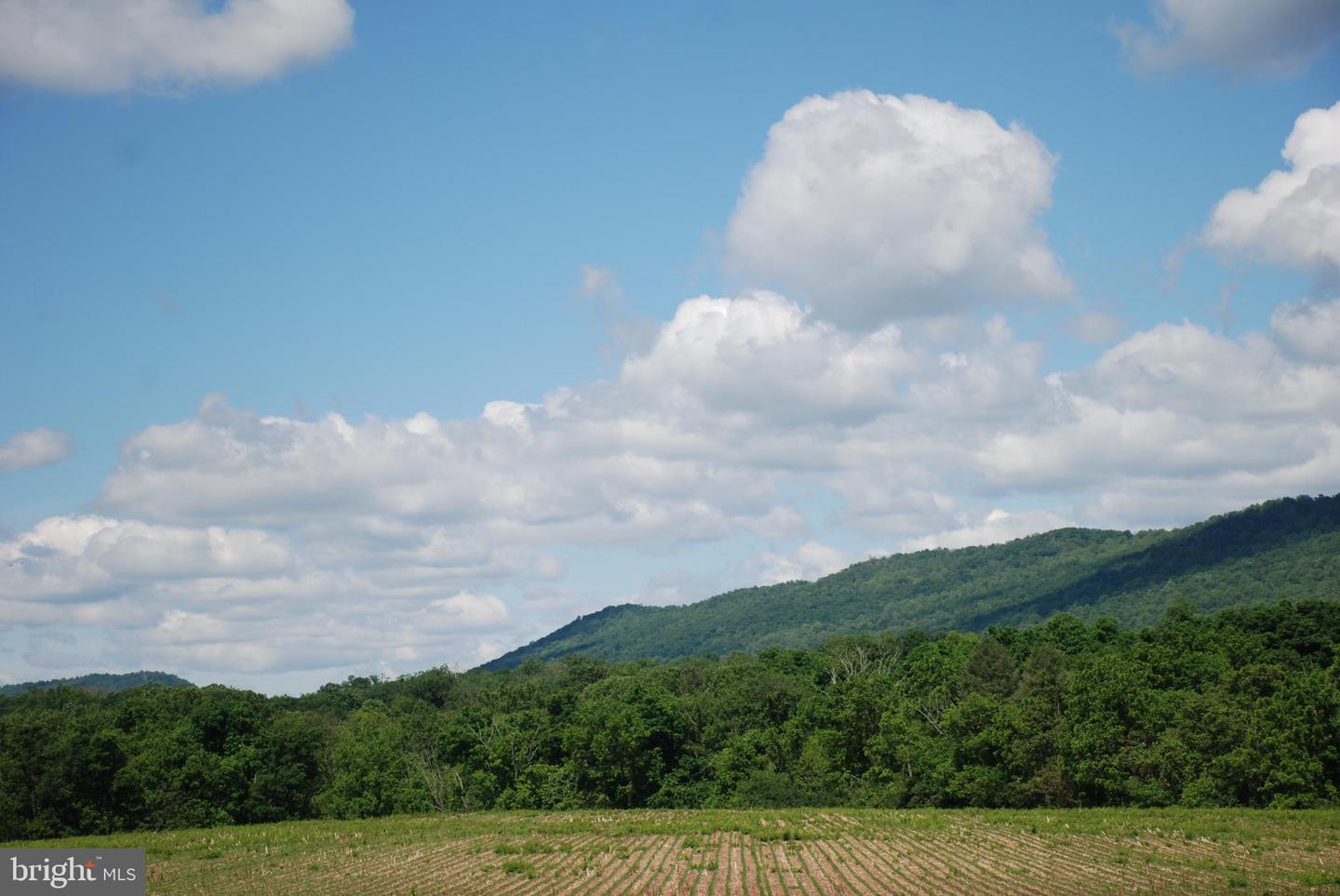 Lot 21 Tannin Way Property Photo 1