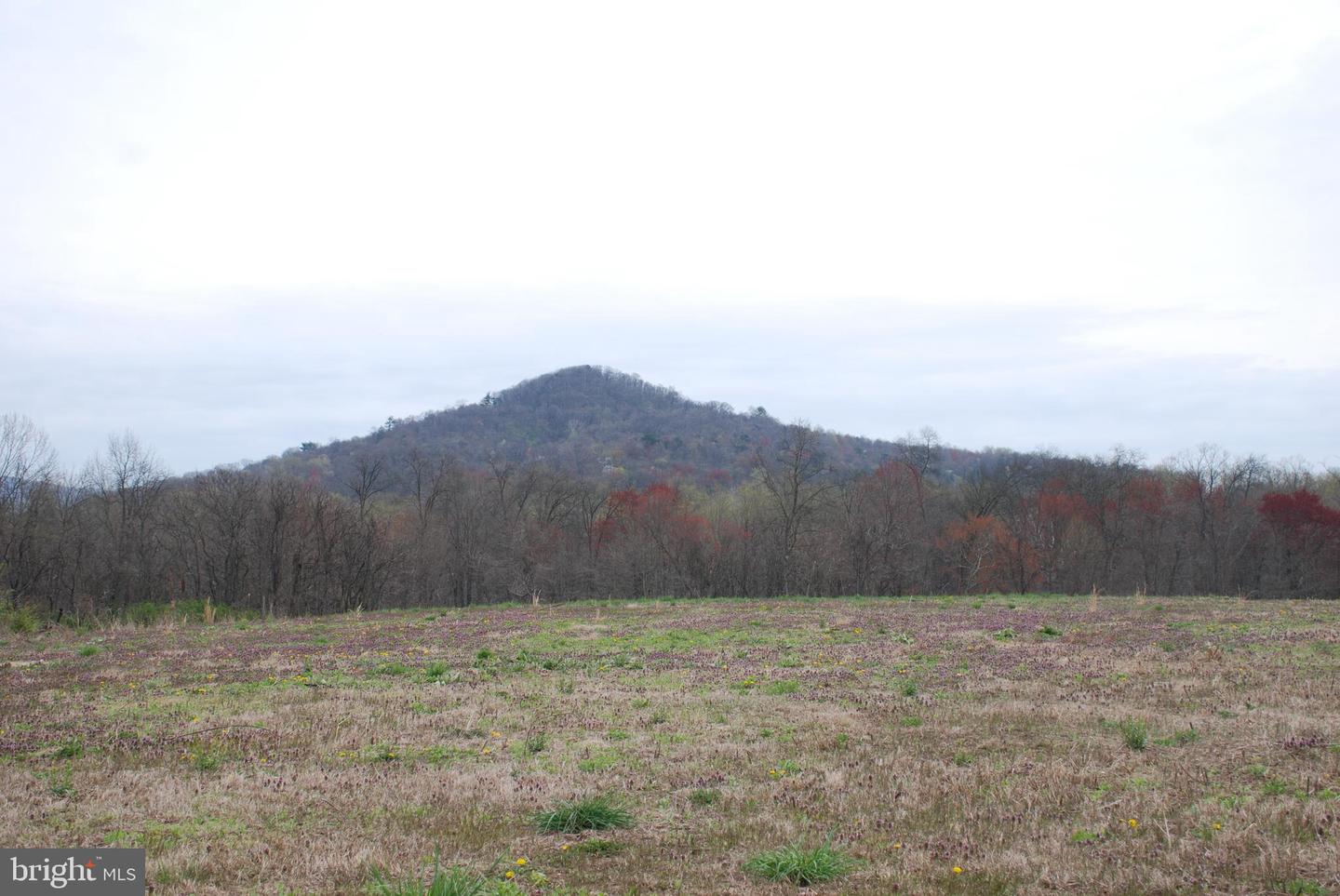 Lot 21 Tannin Way Property Photo 5