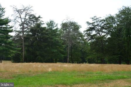 82 Straw Holw Property Photo 3