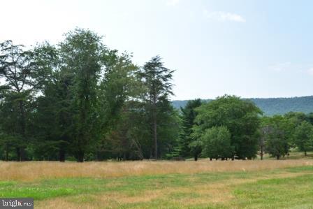 82 Straw Holw Property Photo 4