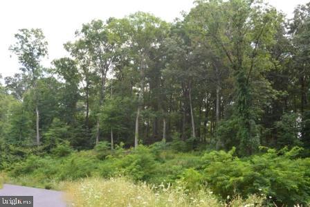 82 Straw Holw Property Photo 5