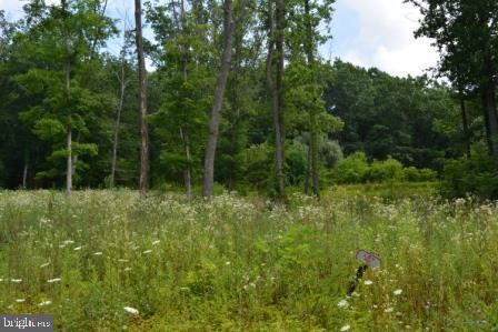 82 Straw Holw Property Photo 6