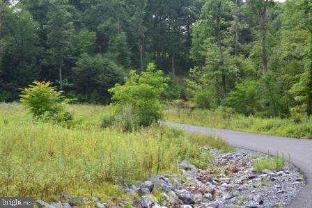 82 Straw Holw Property Photo 7