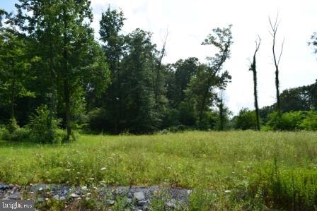 82 Straw Holw Property Photo 8