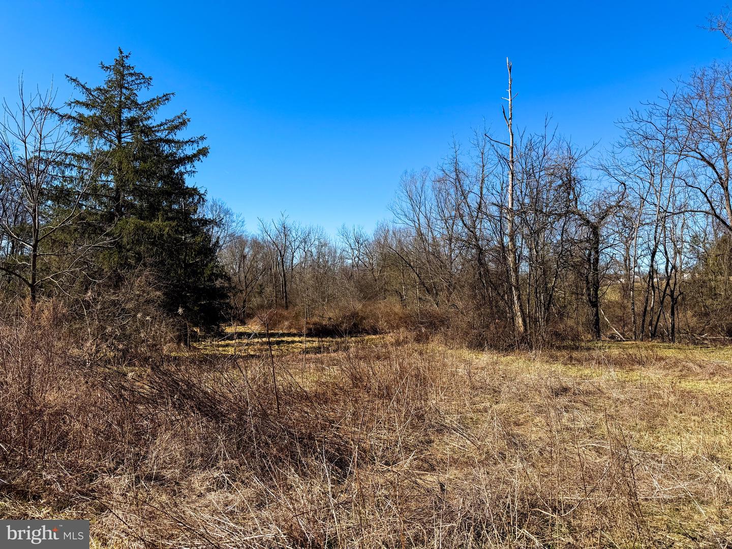 728 Piketown Rd Property Photo 4