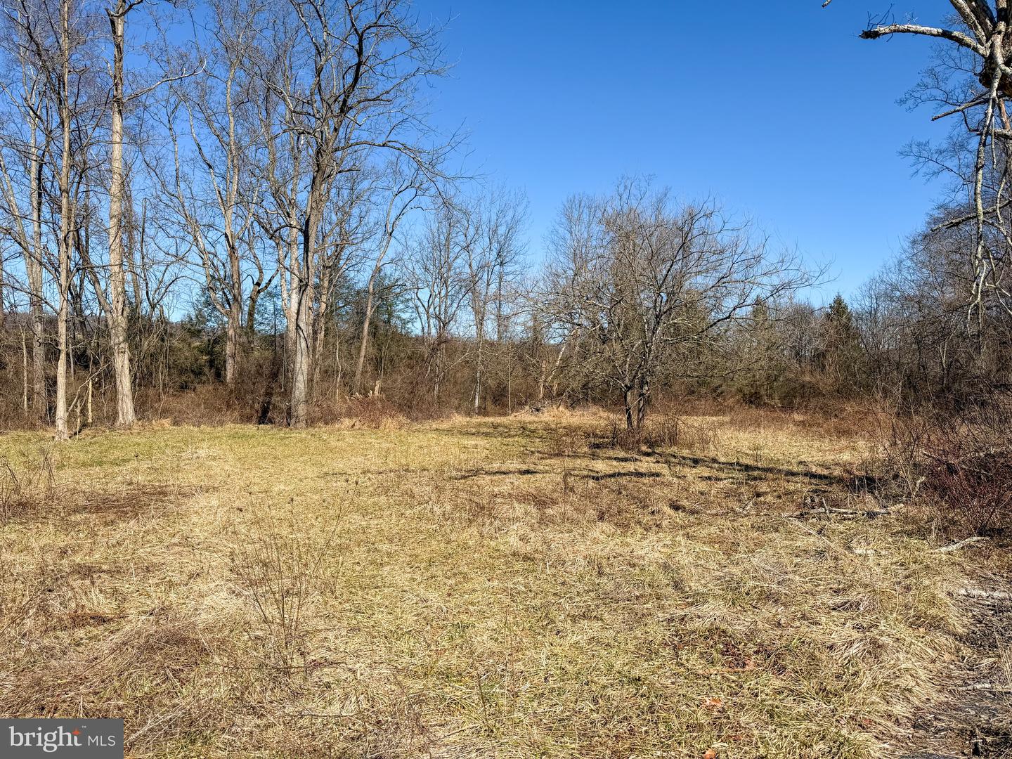 728 Piketown Rd Property Photo 5