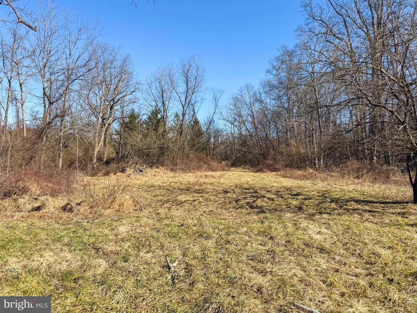 728 Piketown Rd Property Photo 6