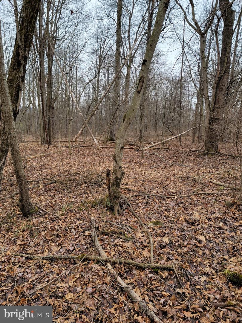 Lot 11 Tannin Way Property Photo 1