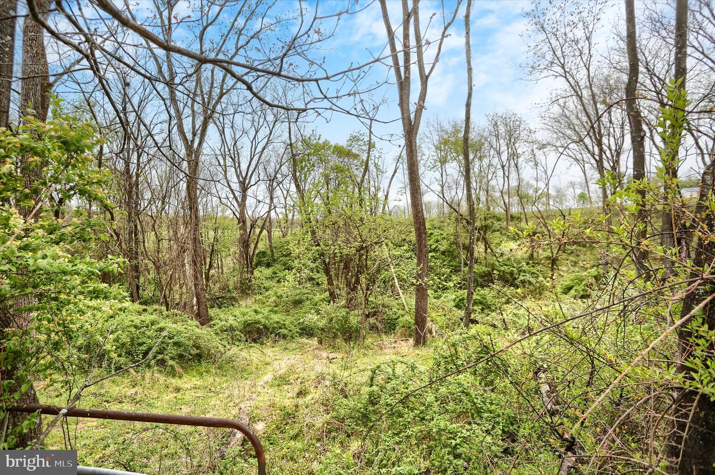 59 Hillymede Rd Property Photo 40