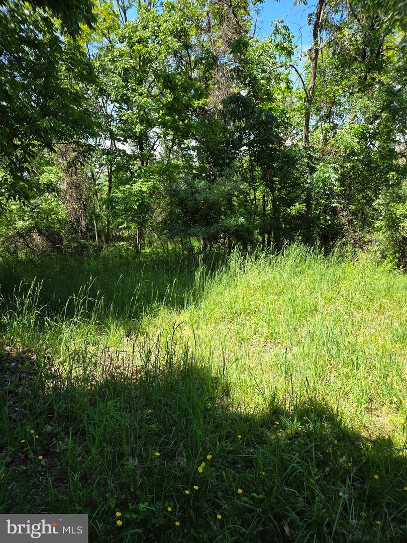 PADA2060220 Property Photo 2