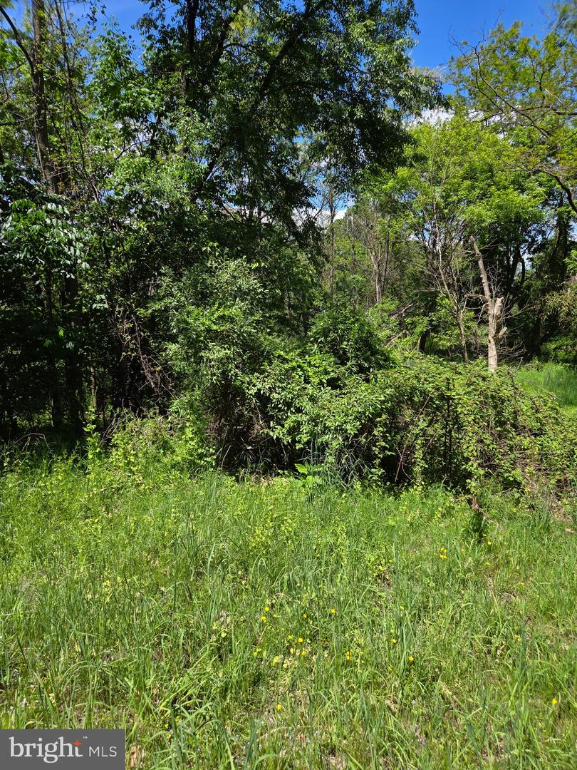 PADA2060220 Property Photo 4