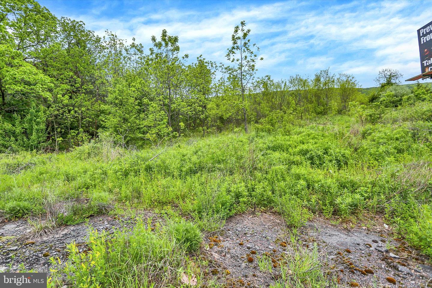 0 Route 209 Property Photo 12