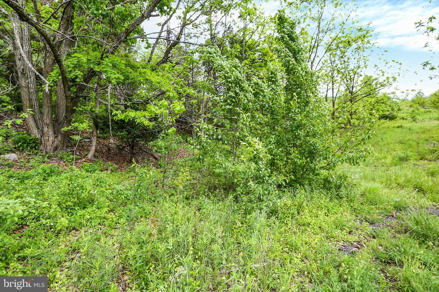0 Route 209 Property Photo 14