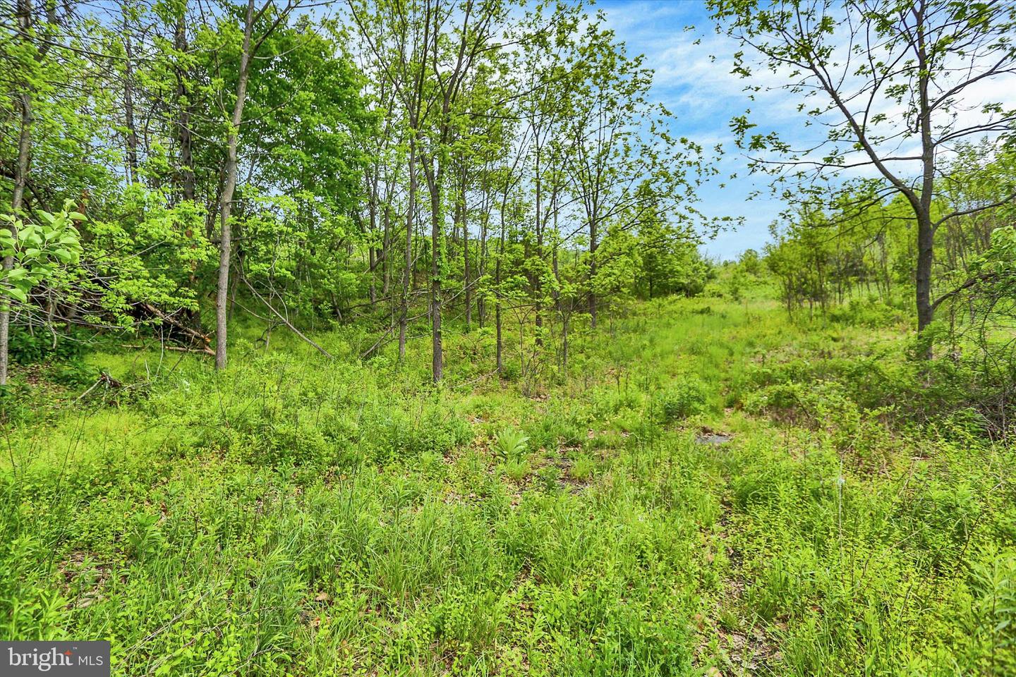 0 Route 209 Property Photo 15