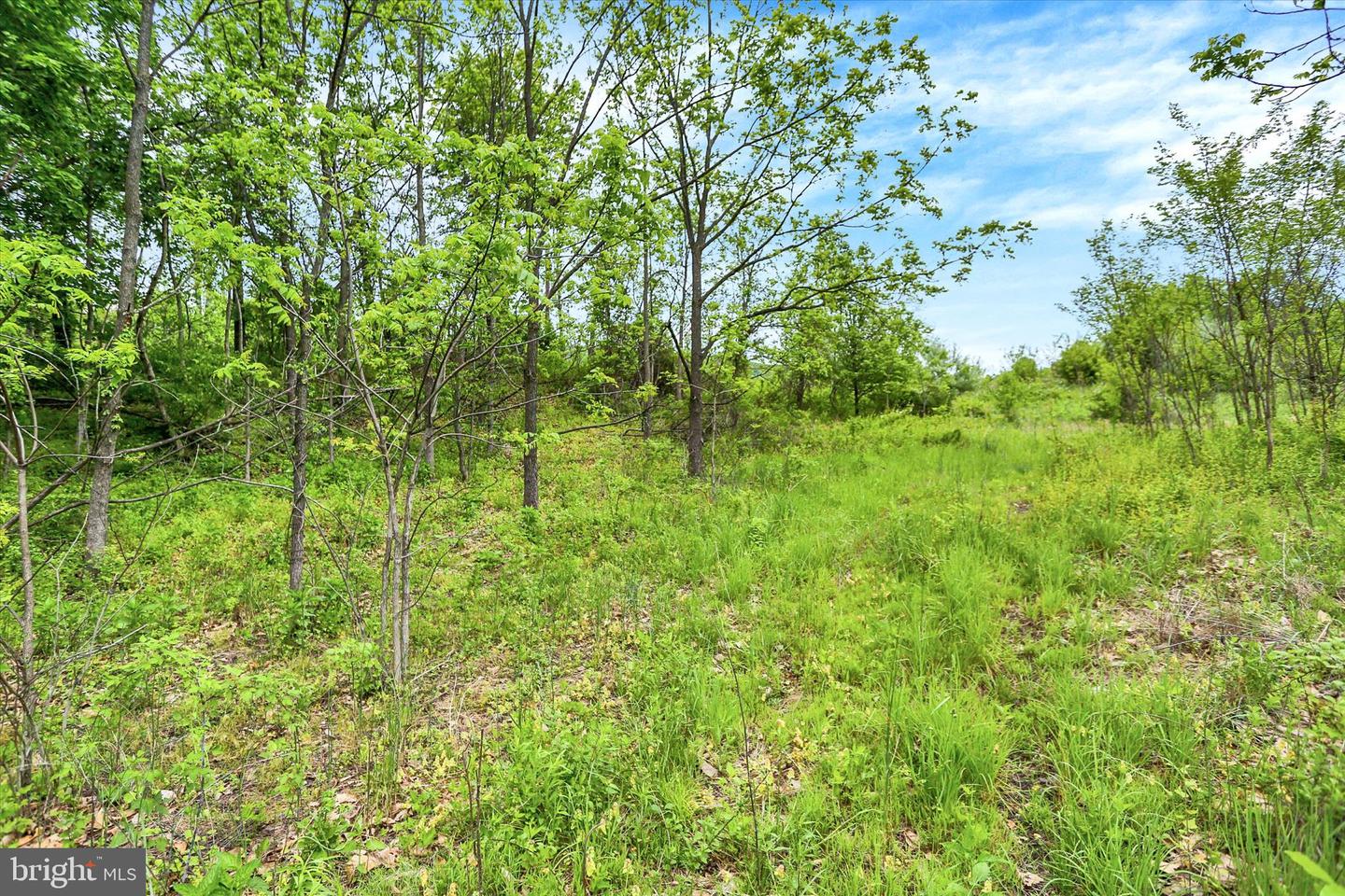 0 Route 209 Property Photo 16