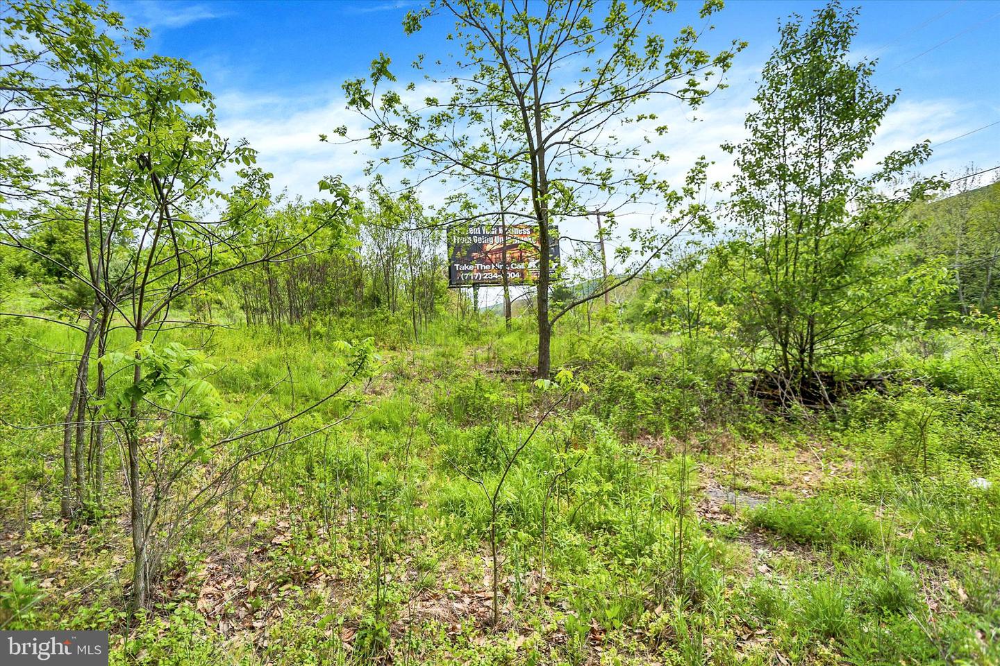 0 Route 209 Property Photo 17