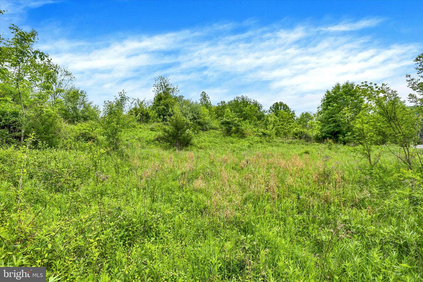 0 Route 209 Property Photo 18