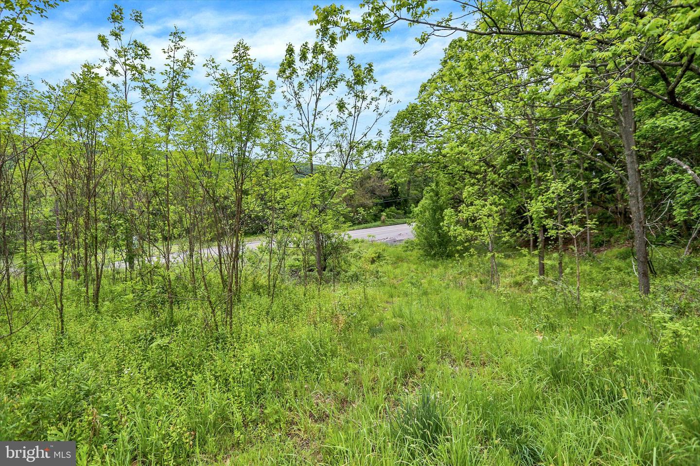 0 Route 209 Property Photo 19