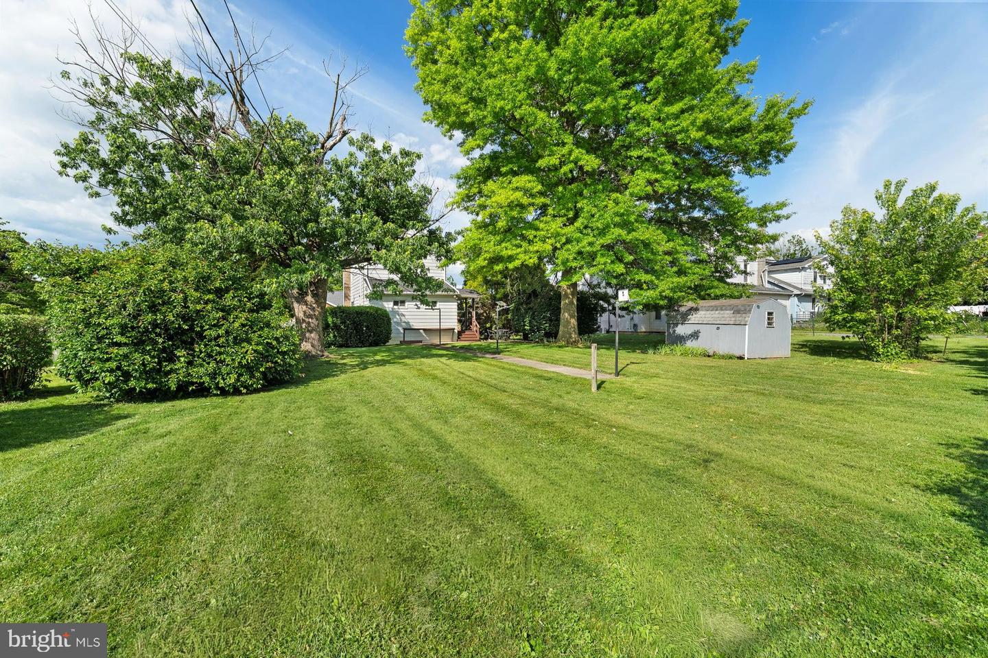 34 Half Street Property Photo 29