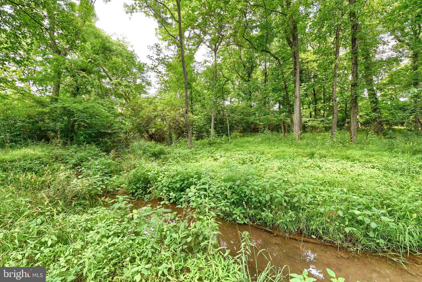 3740 Beagle Rd Property Photo 44