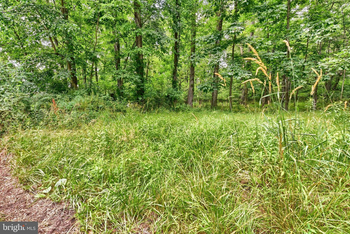 3740 Beagle Rd Property Photo 48