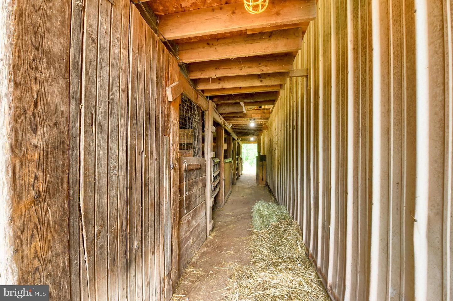 3740 Beagle Rd Property Photo 64