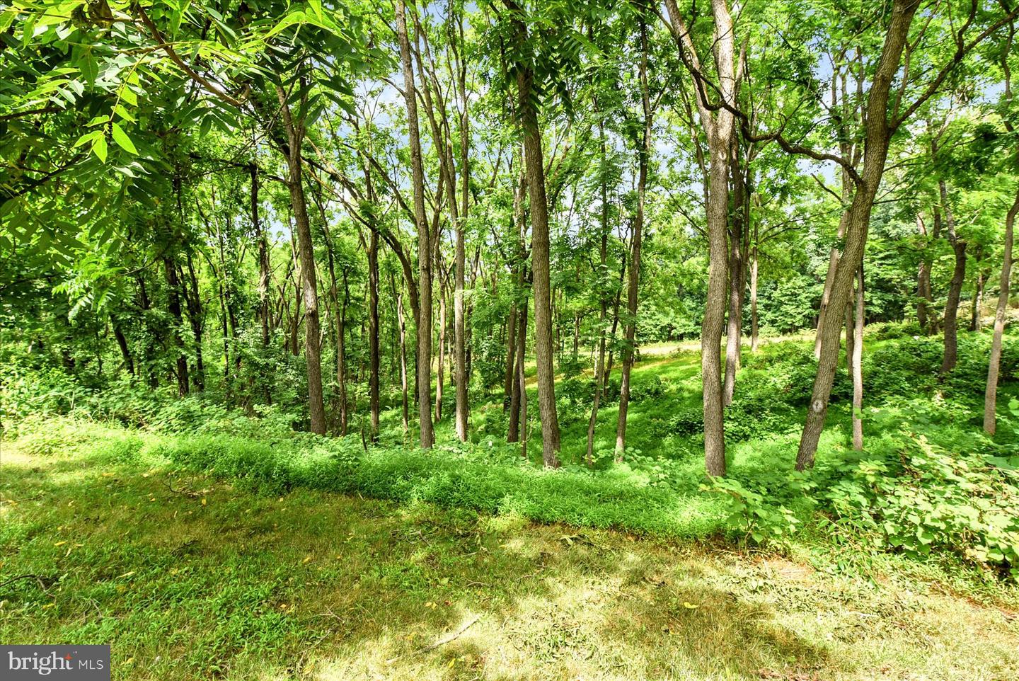 6410 Gallop Rd Property Photo 45
