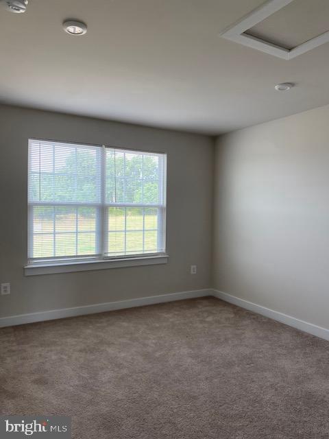 3002 Vanessa Dr Property Photo 26