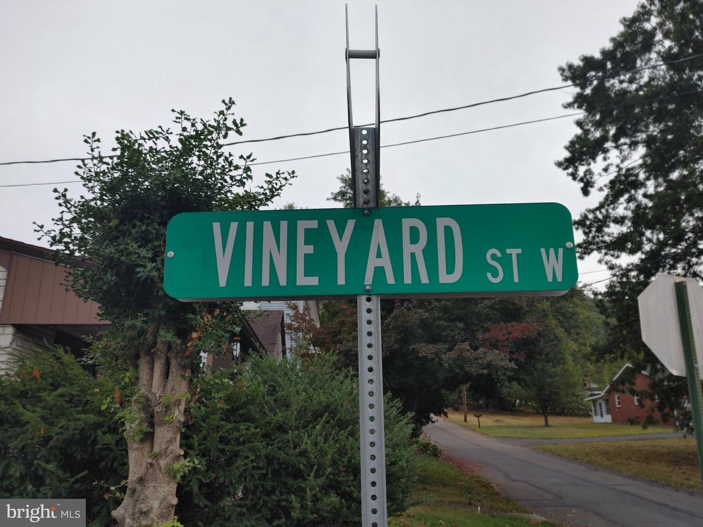 0 Vineyard Aly Property Photo 2