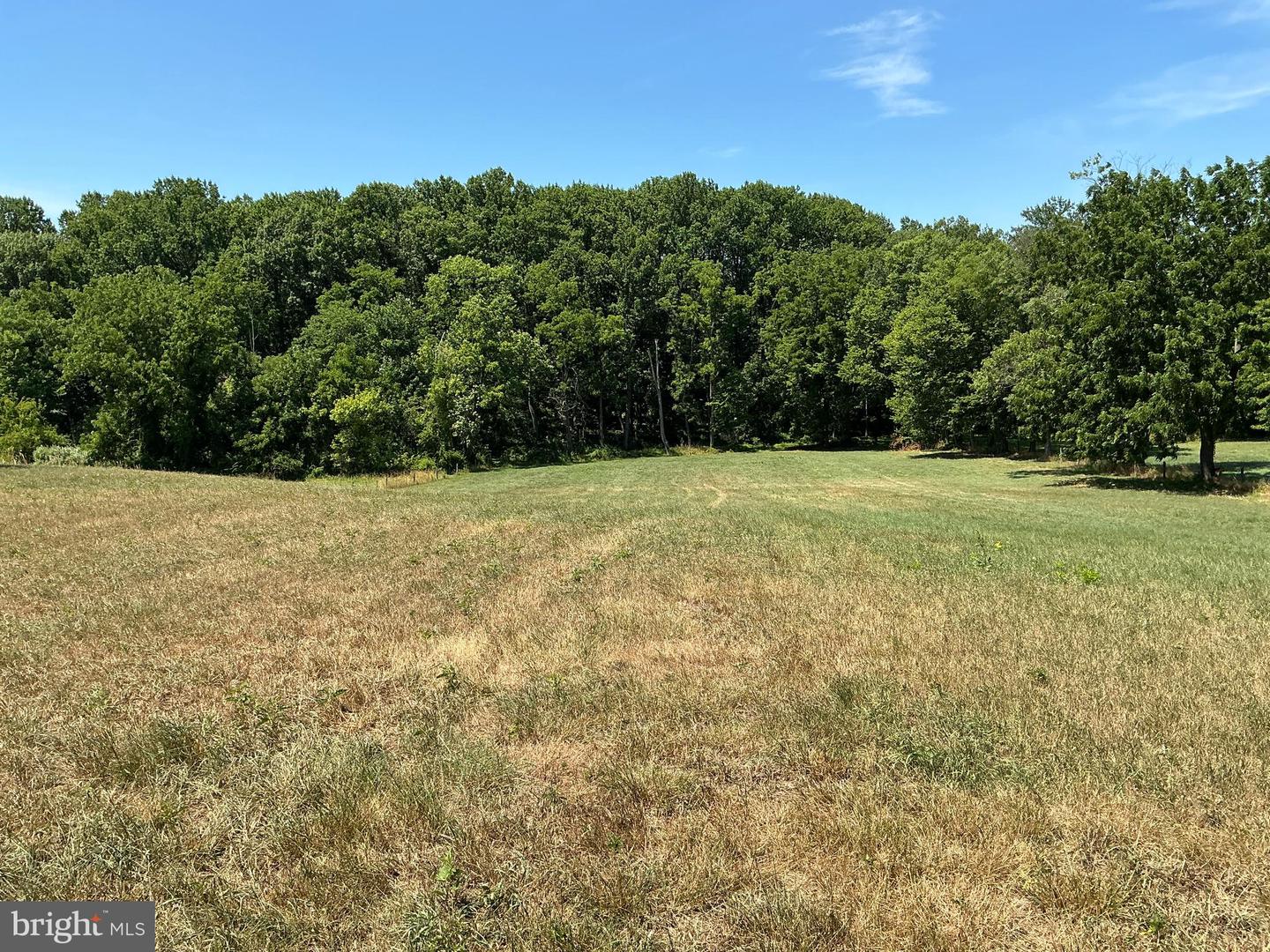 703 Bachmanville Rd Property Photo 1