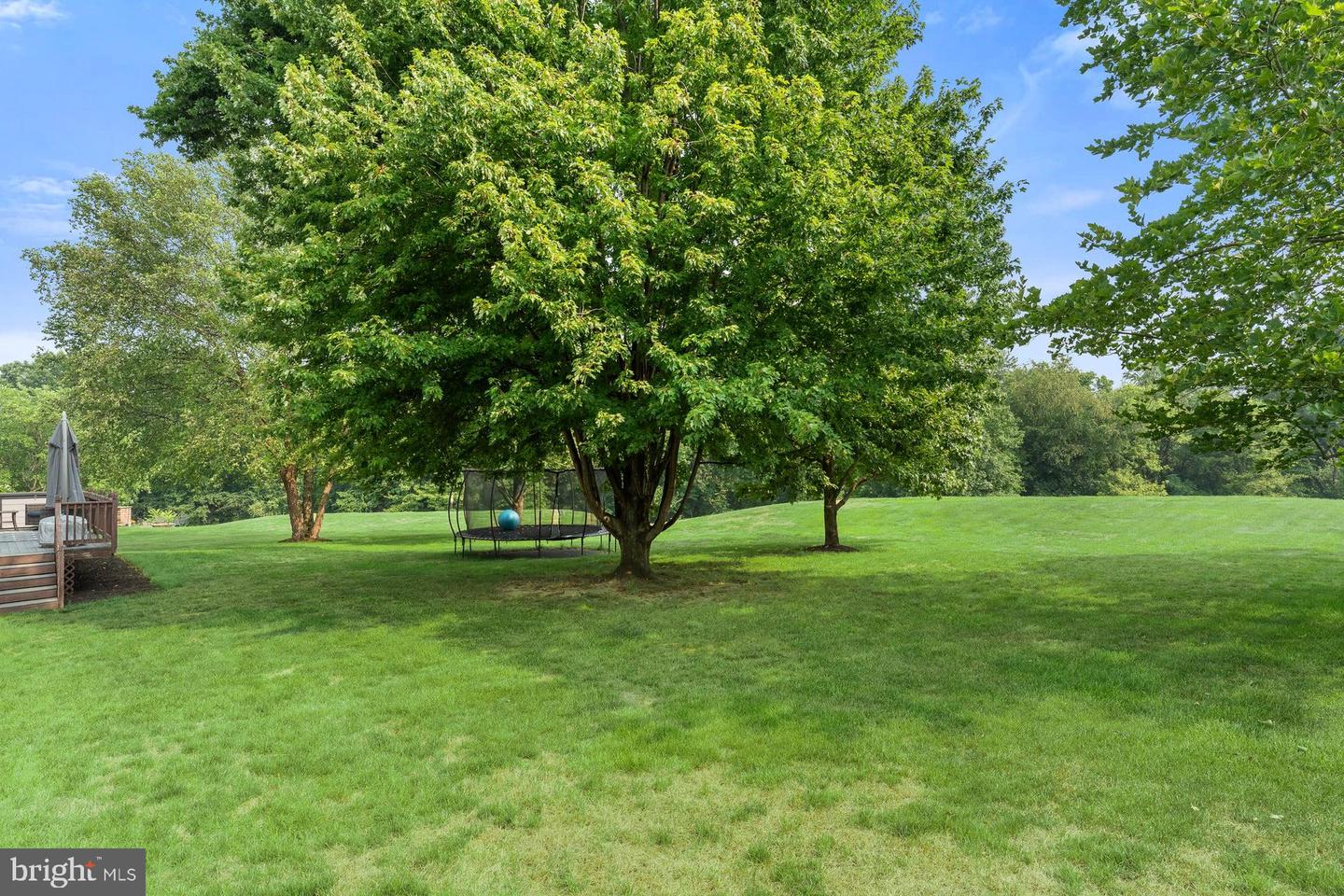 111 Crabapple Ct Property Photo 58