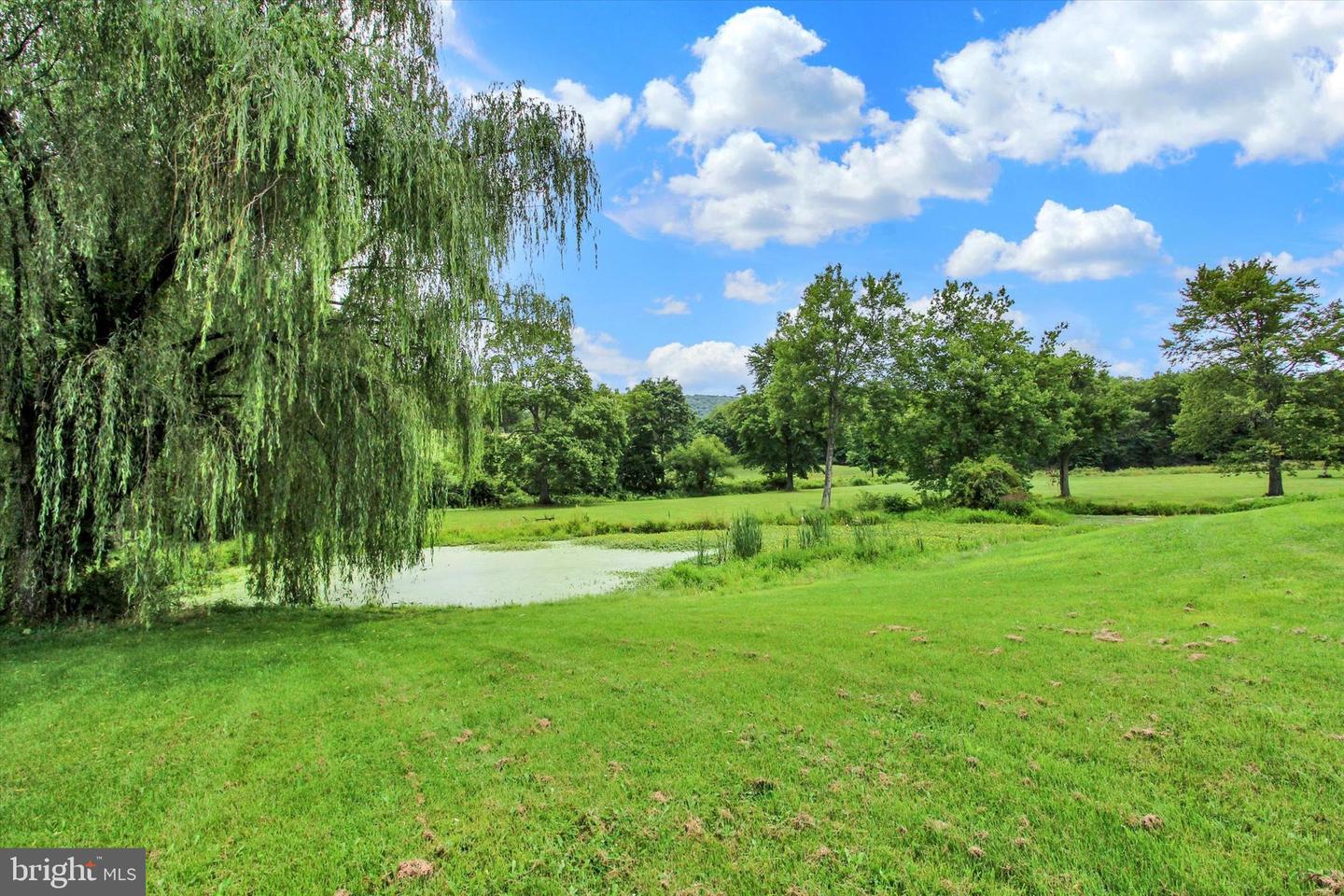 1350 Fishing Creek Valley Rd Property Photo 73