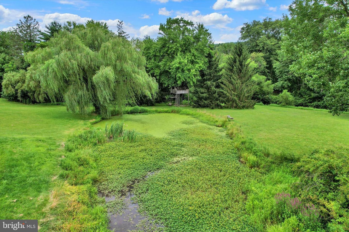 1350 Fishing Creek Valley Rd Property Photo 82