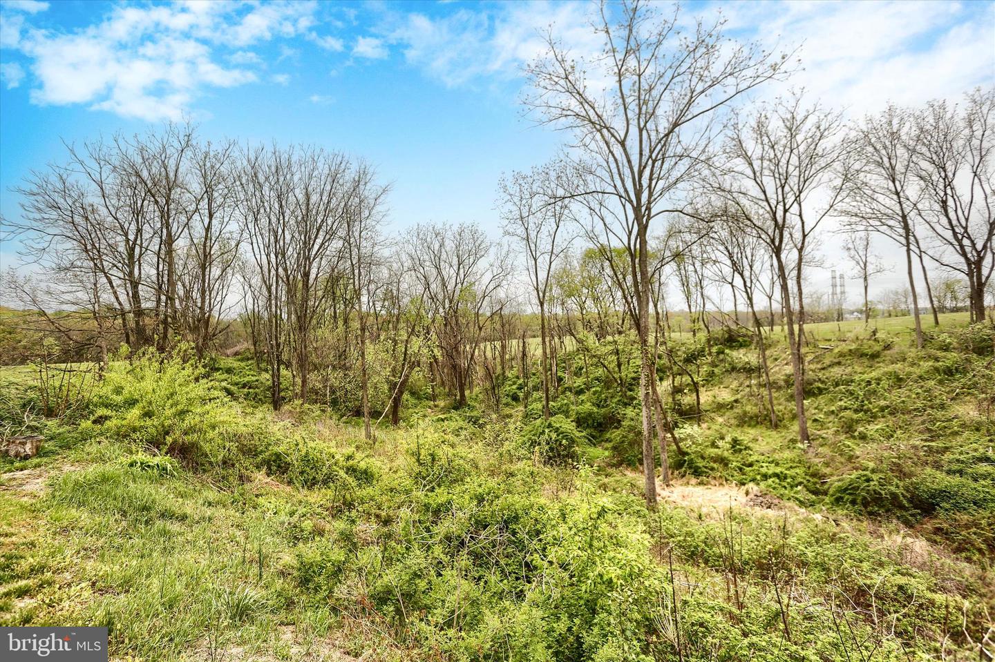 59 Hillymede Rd Property Photo 36