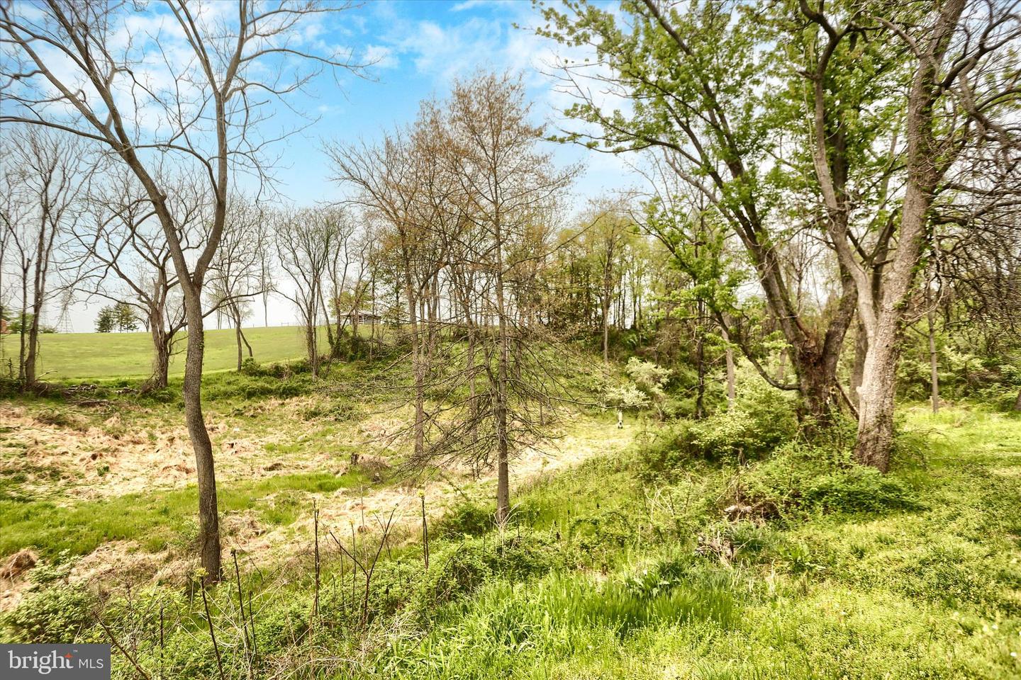 59 Hillymede Rd Property Photo 37