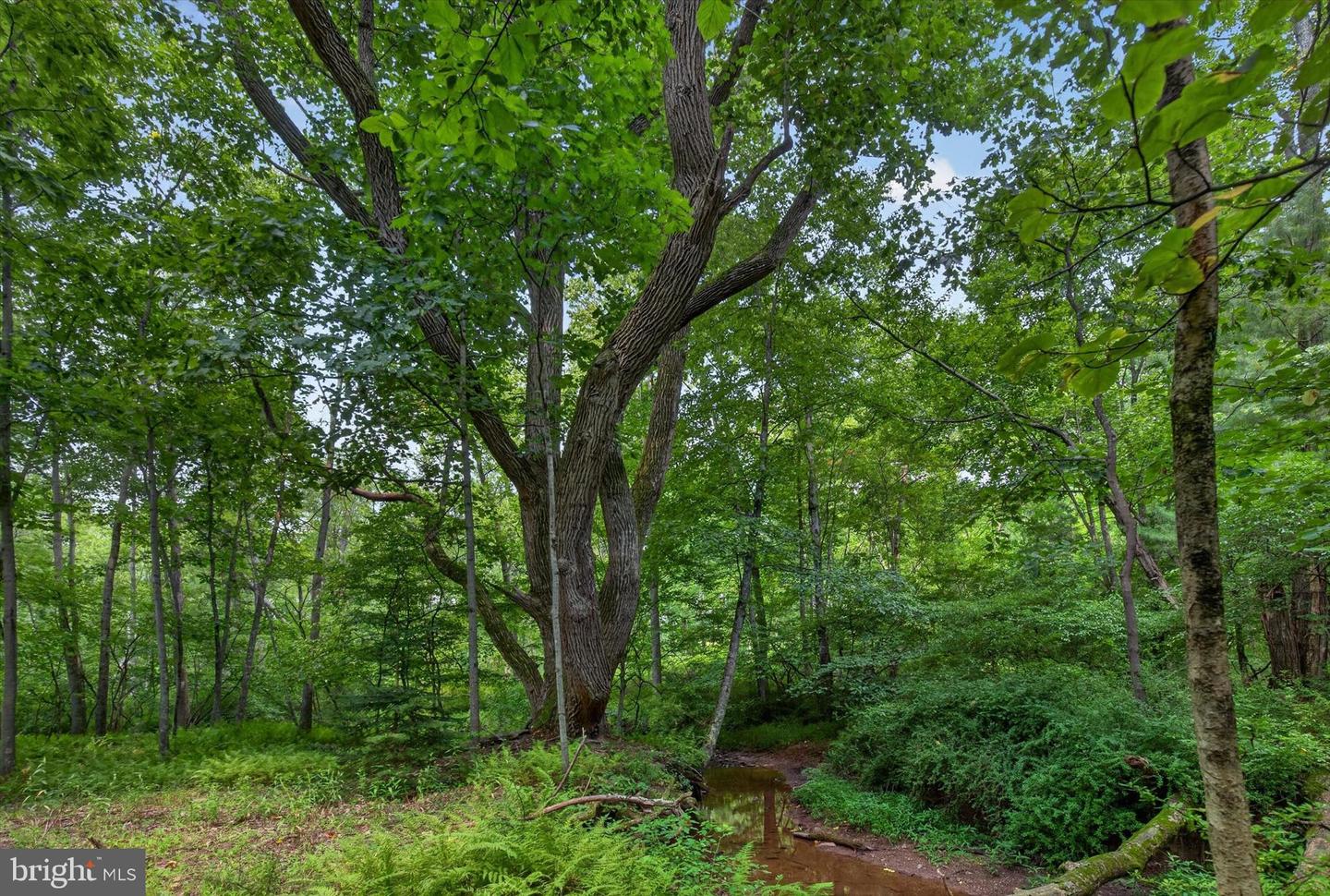 4144 Back Rd Property Photo 15