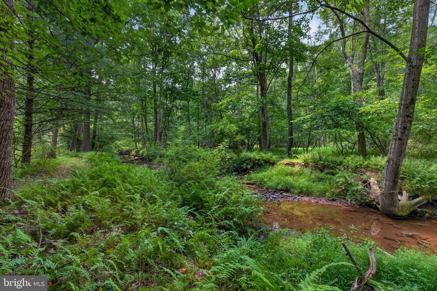 4144 Back Rd Property Photo 16
