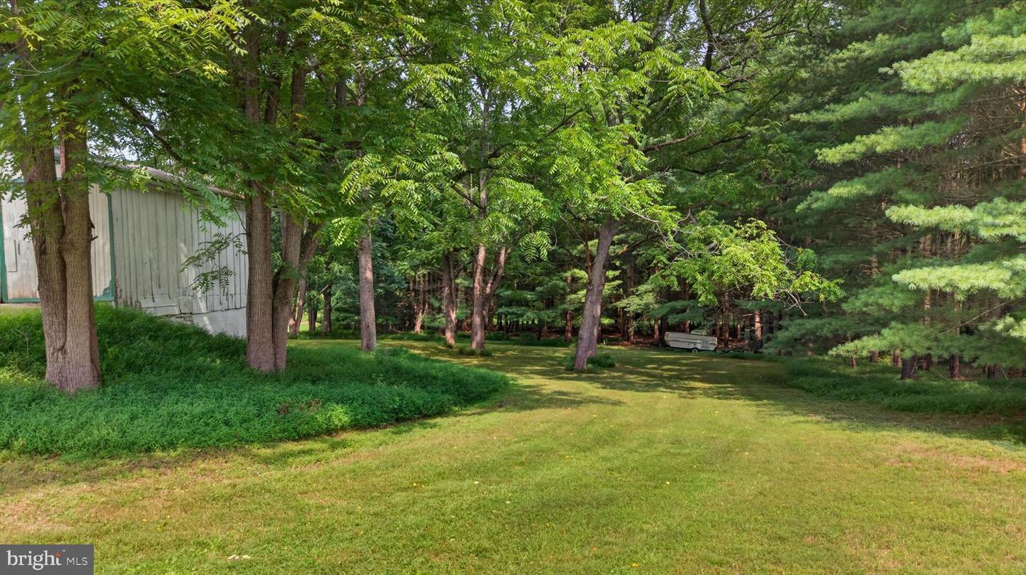 4144 Back Rd Property Photo 20