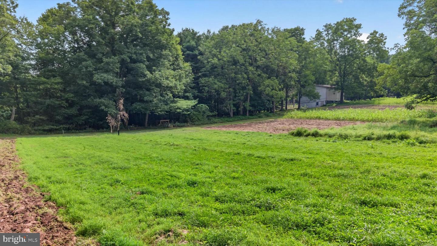 4144 Back Rd Property Photo 21