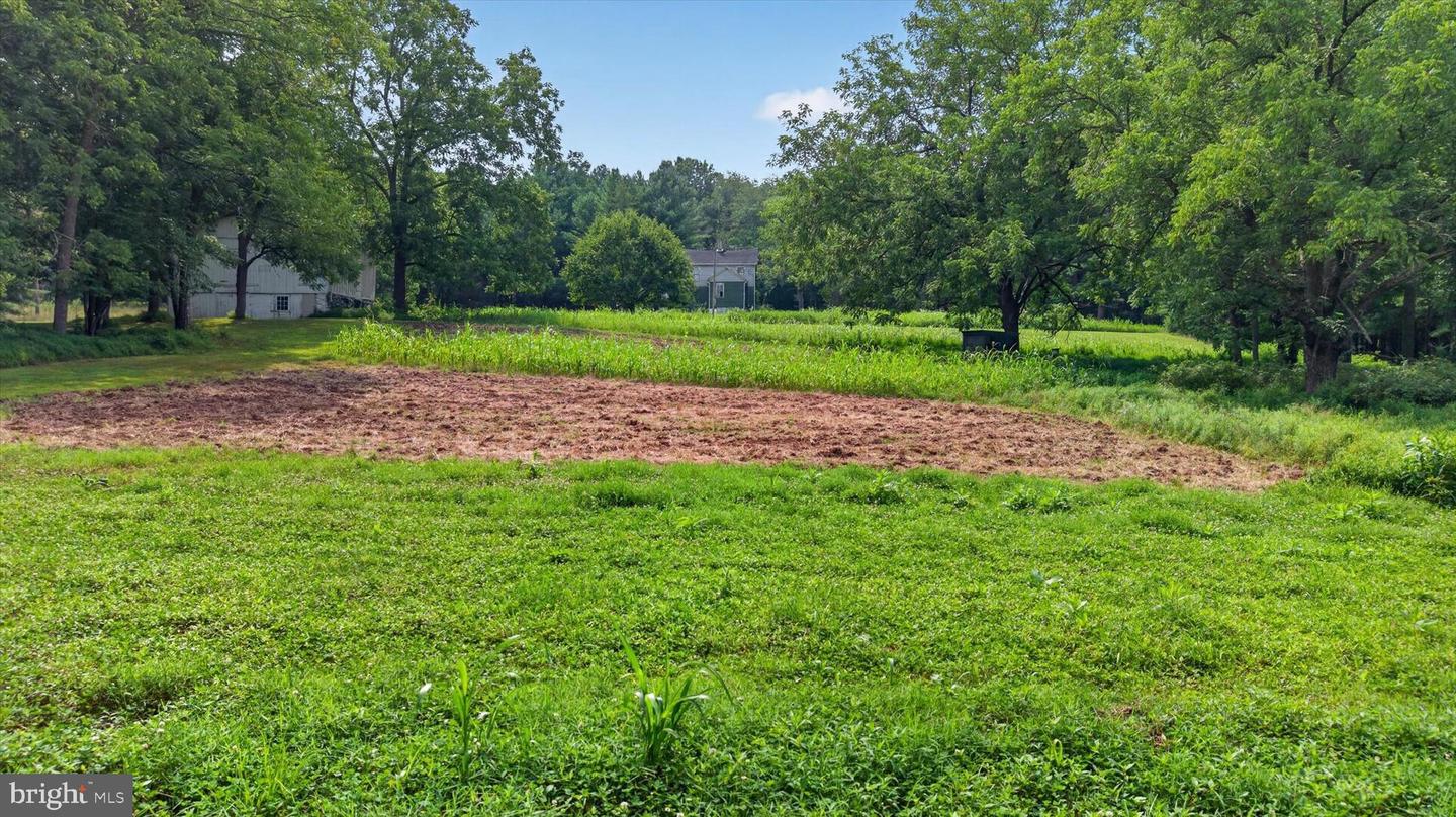 4144 Back Rd Property Photo 22