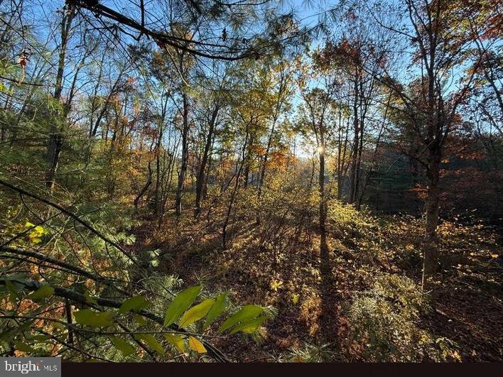 4144 Back Rd Property Photo 31