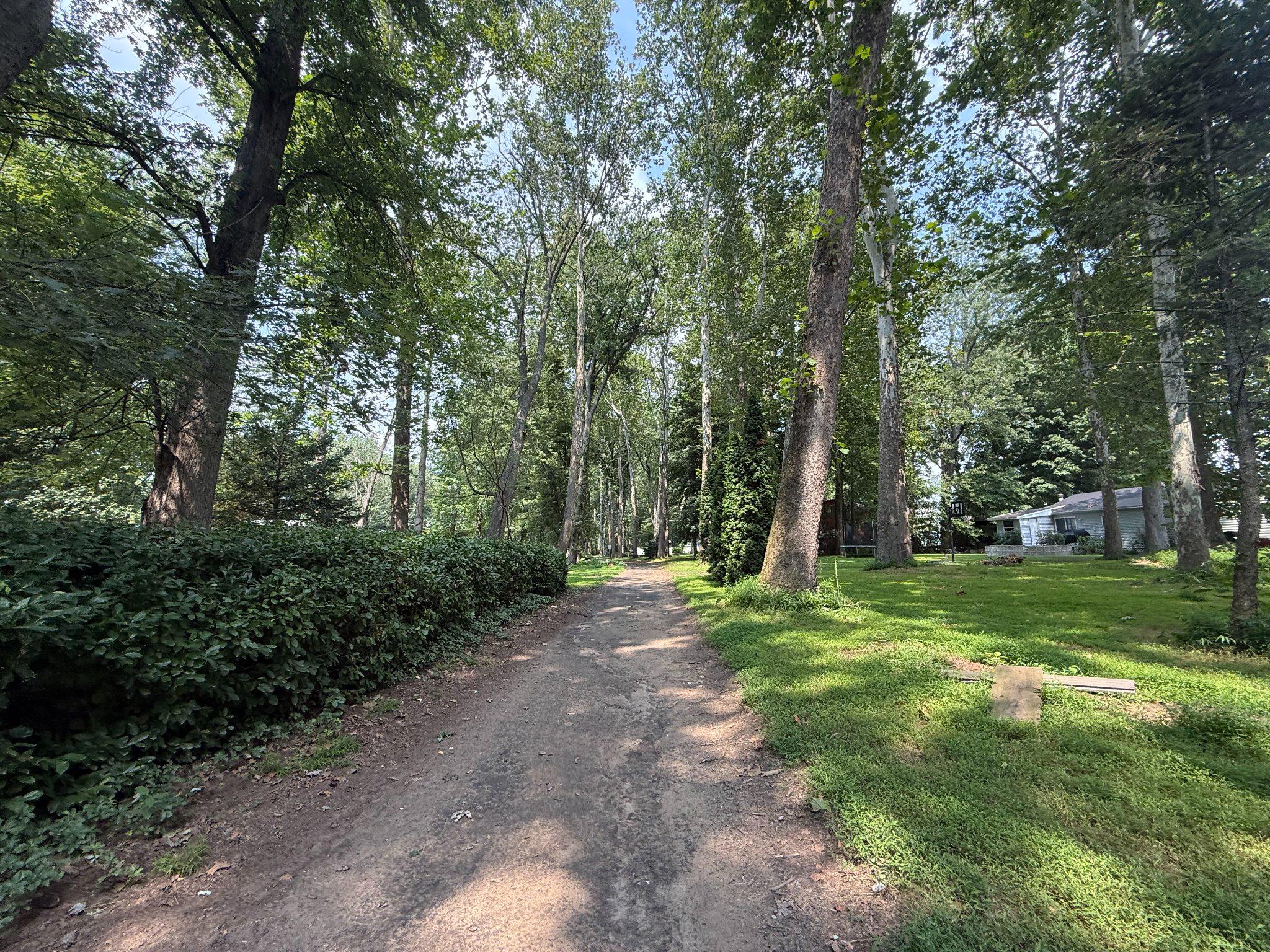 47 Beech Isl Property Photo 30