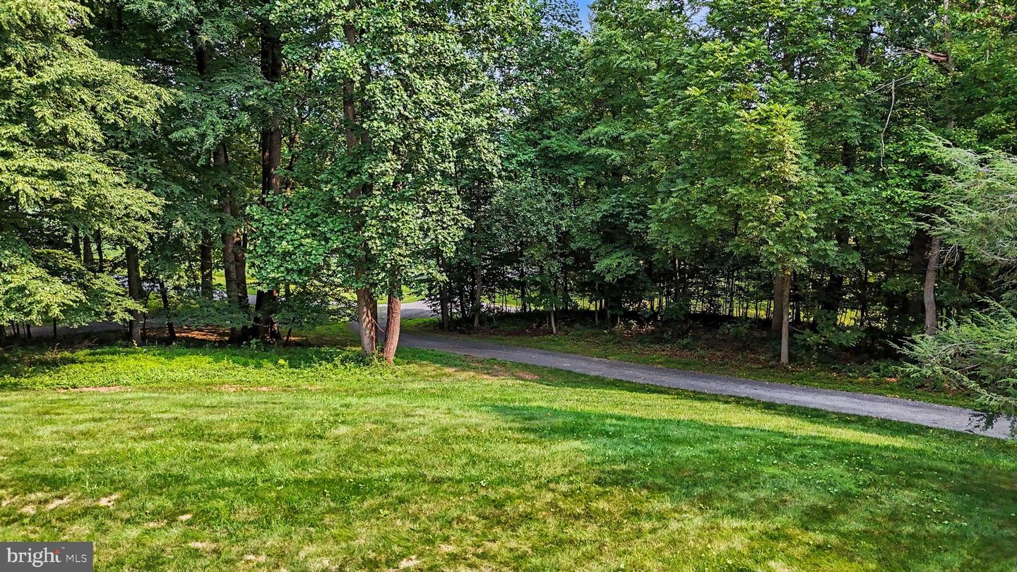 206 Mccorkel Rd Property Photo 39