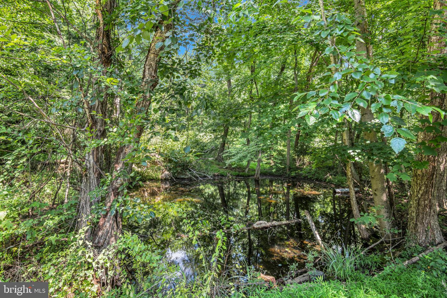 1831 Miller Rd Ext Property Photo 2