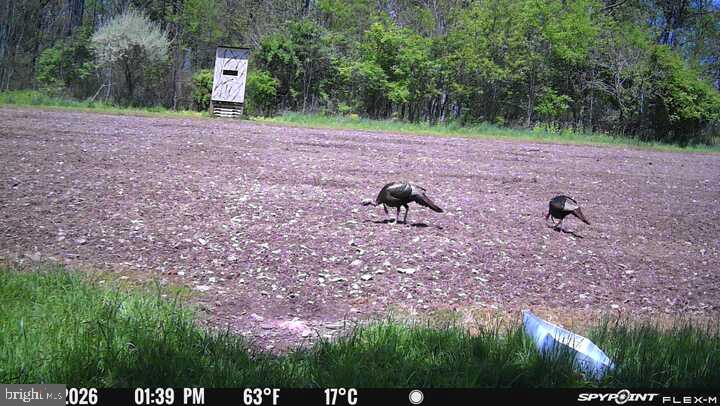 542 Honeymoon Trail Rd Property Photo 75