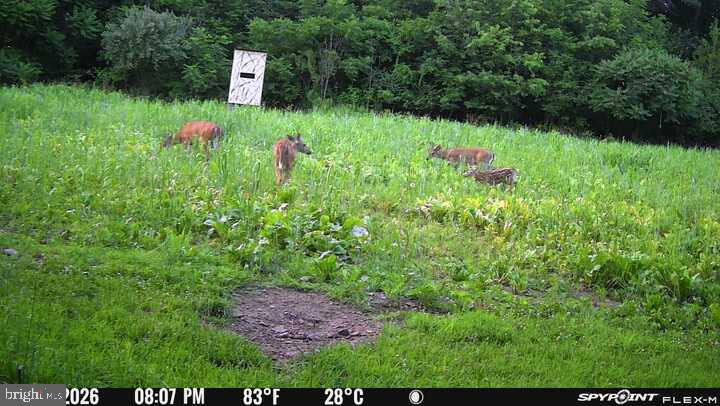 542 Honeymoon Trail Rd Property Photo 76