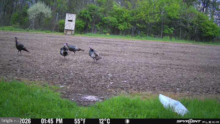 542 Honeymoon Trail Rd Property Photo 79