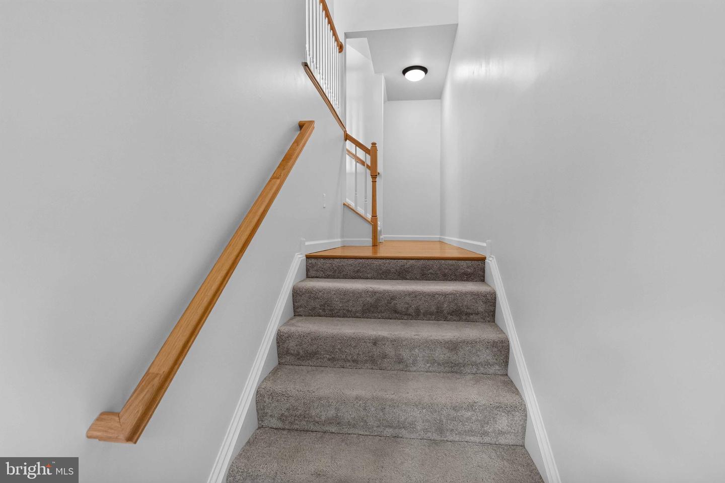9089 Joyce Ln Property Photo 5